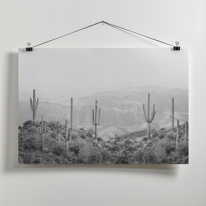 Fine Art Print, Western Cactus