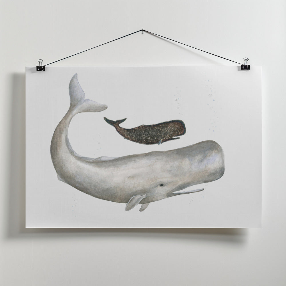 Fine Art Print, Mother and Baby Sperm Whale