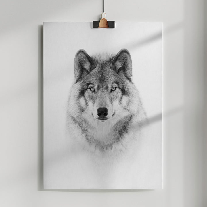 Fine Art Print, Portrait of a Timber Wolf