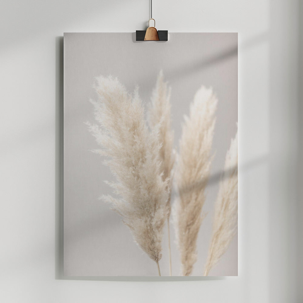 Fine Art Print, Pampas Grass Grey 02