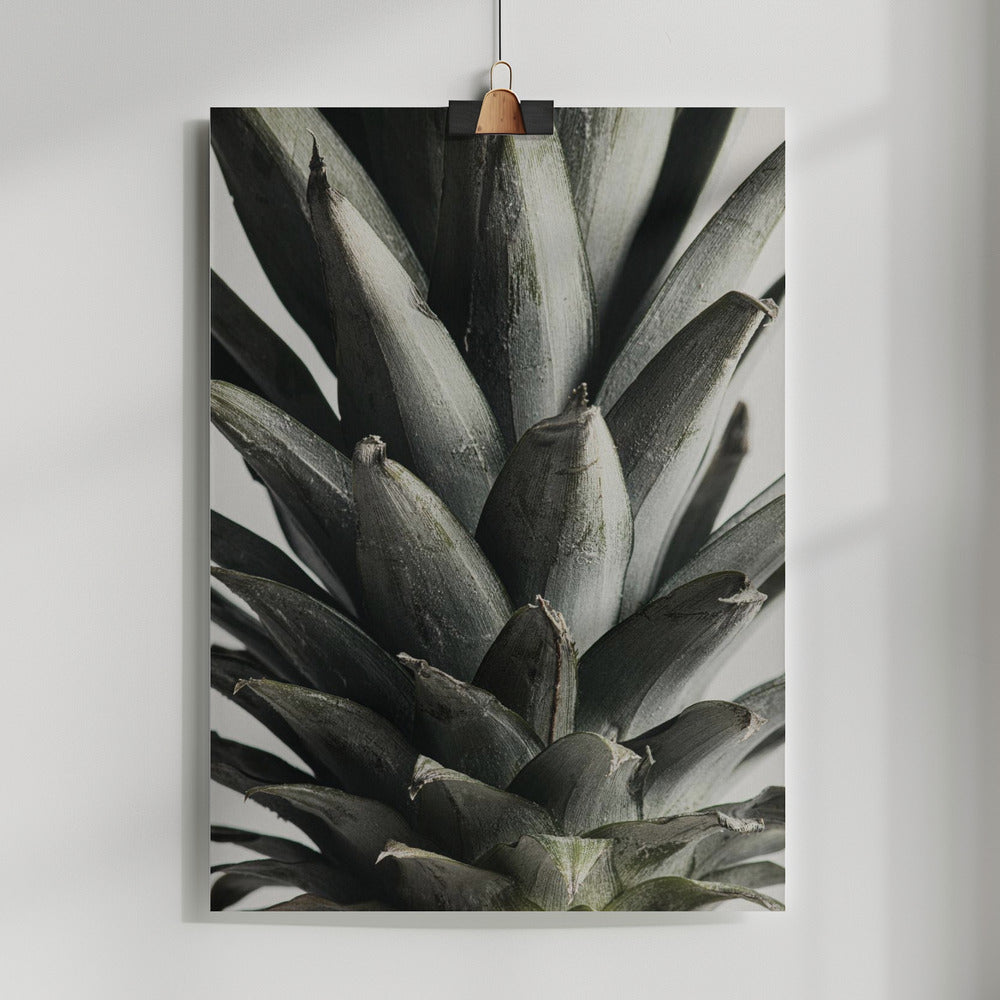 Fine Art Print, Pineapple close up