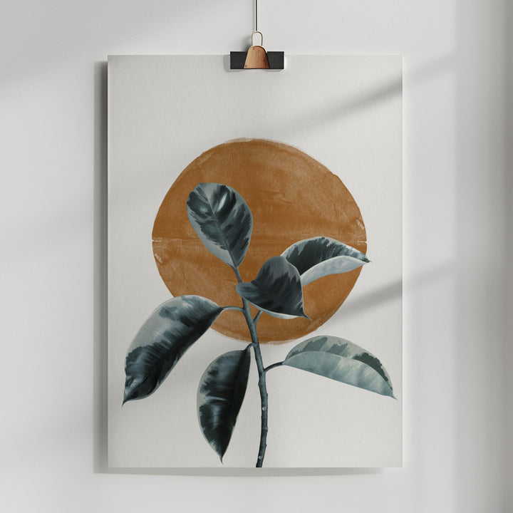 Fine Art Print, Sun and Ficus