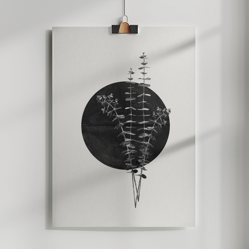 Fine Art Print, Plant and Black Sun