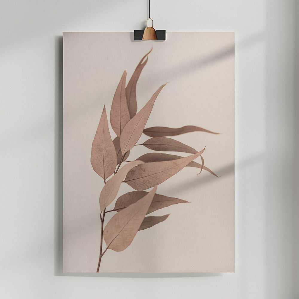 Fine Art Print, Dried Eucalyptus