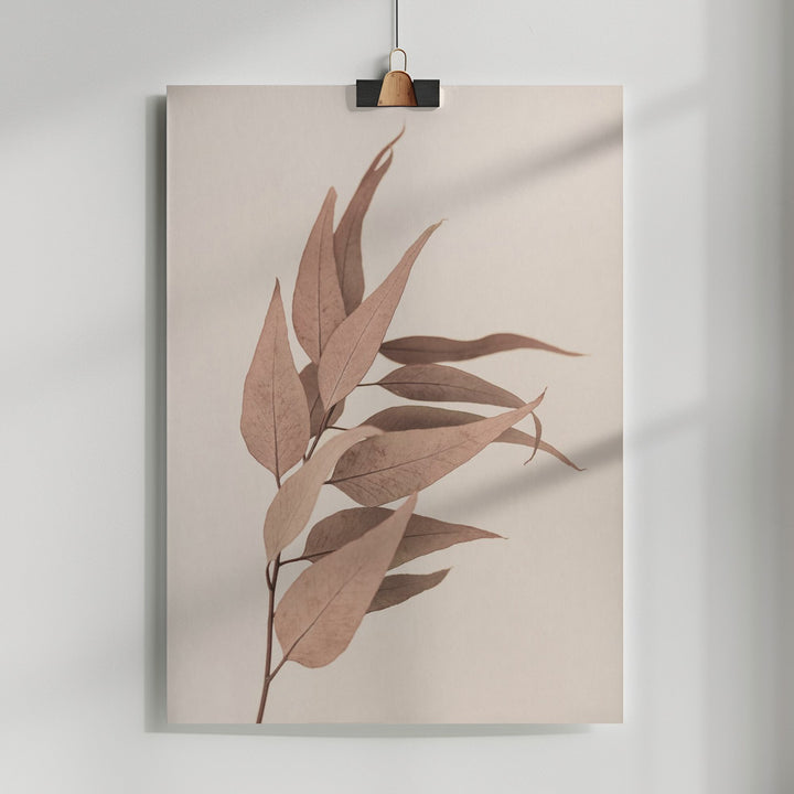 Fine Art Print, Dried Eucalyptus