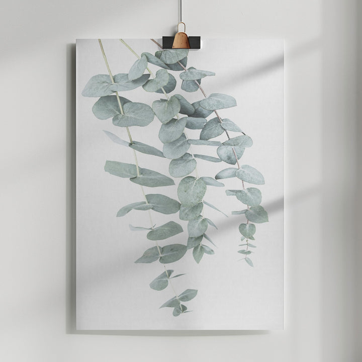 Fine Art Print, Eucalyptus I