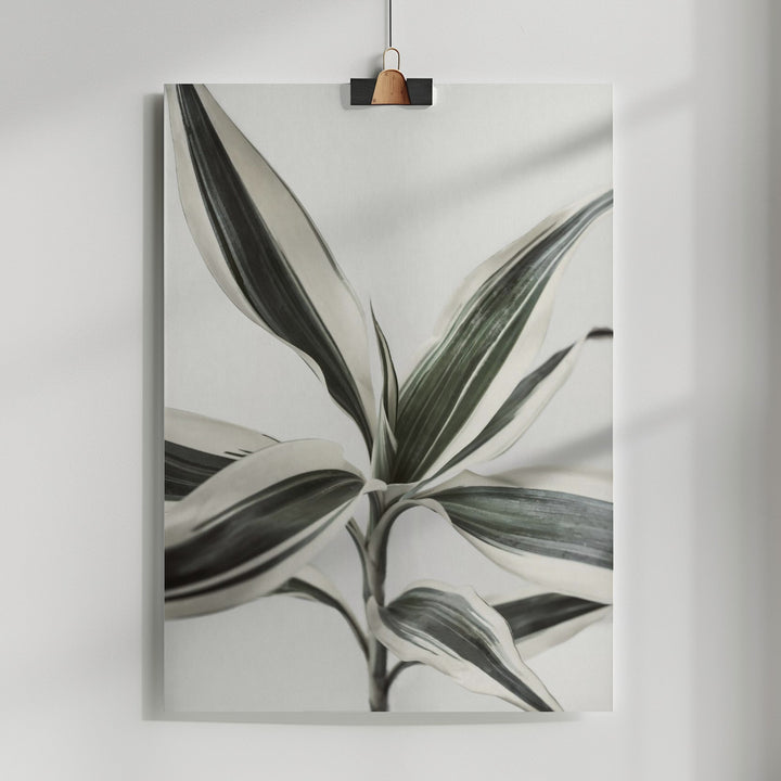 Fine Art Print, Foliage