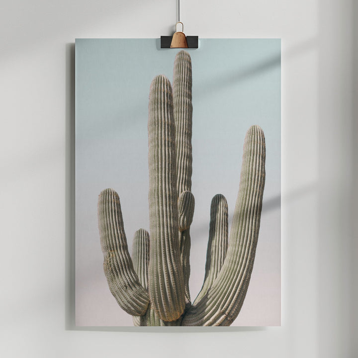 Fine Art Print, Saguaro