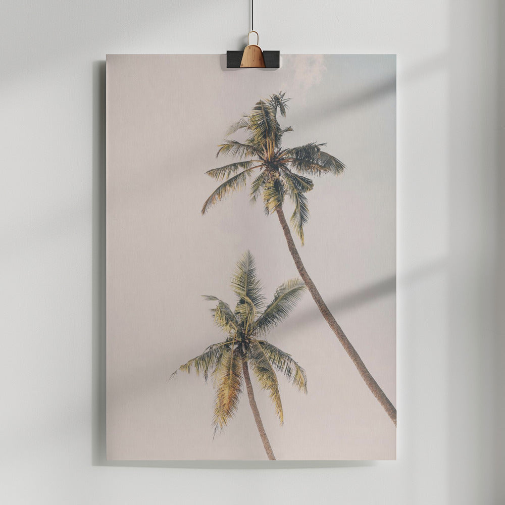 Fine Art Print, Tropical Palms