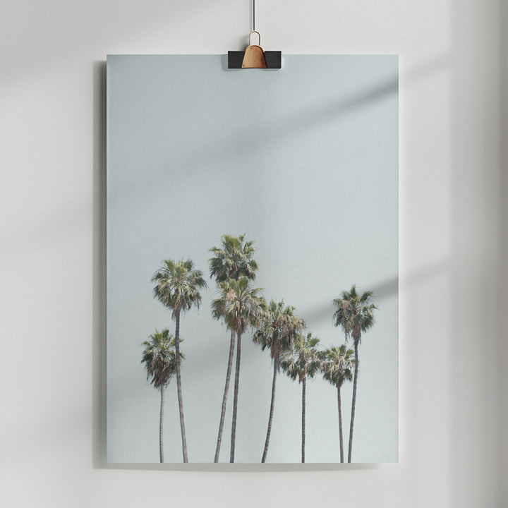 Fine Art Print, Blue Palm Trees