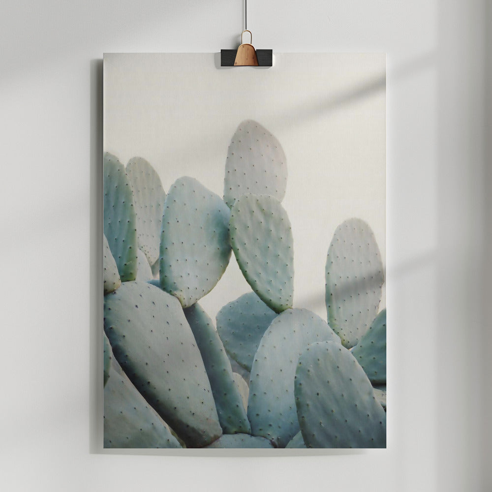 Fine Art Print, Pastel Cacti