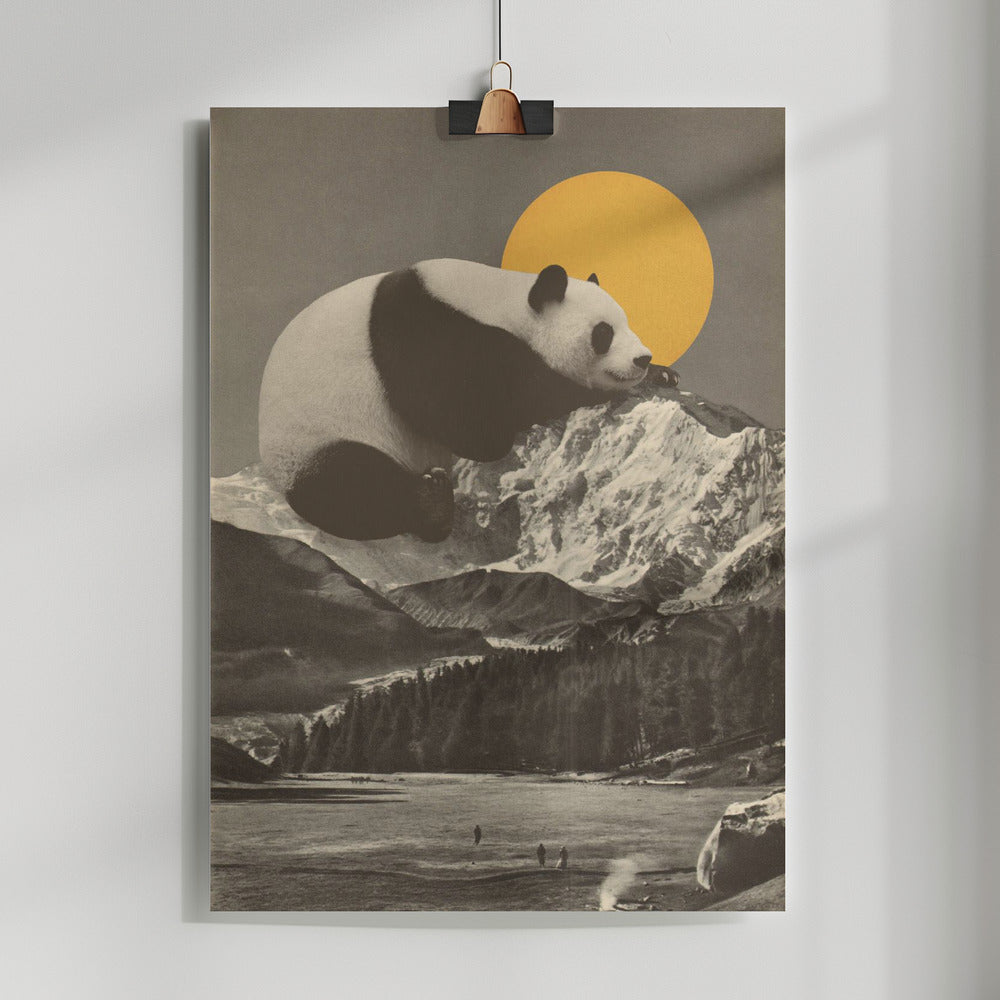 Fine Art Print, Giant Panda Nap