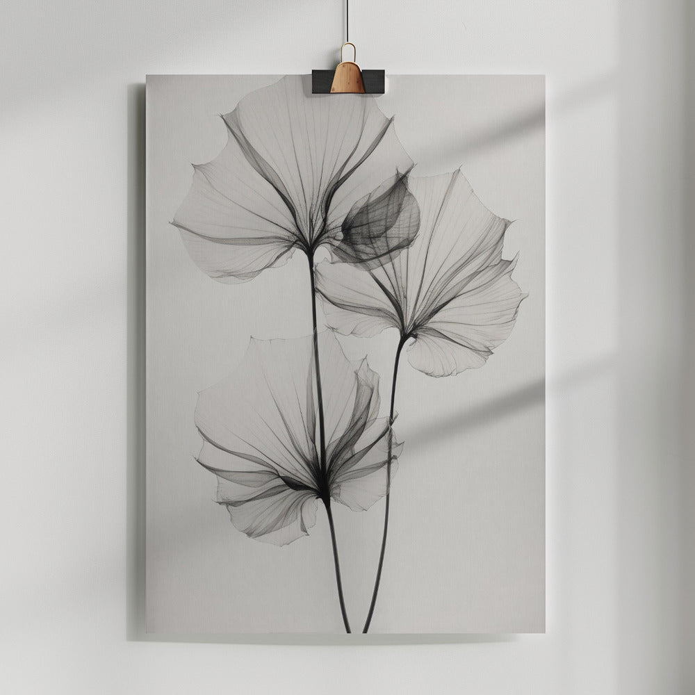 Fine Art Print, Transparent Botanic No 3