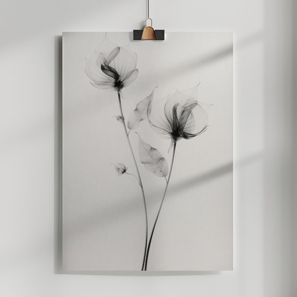 Fine Art Print, Transparent Botanic No 7