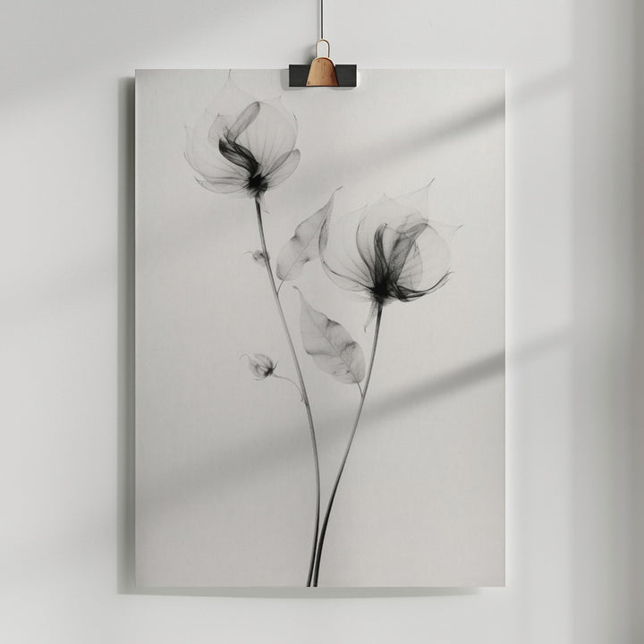 Fine Art Print, Transparent Botanic No 7