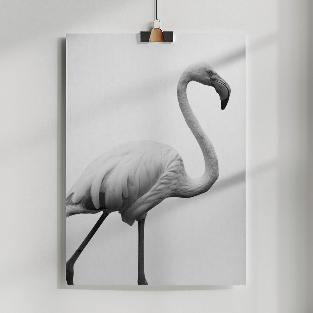 Fine Art Print, Dancer