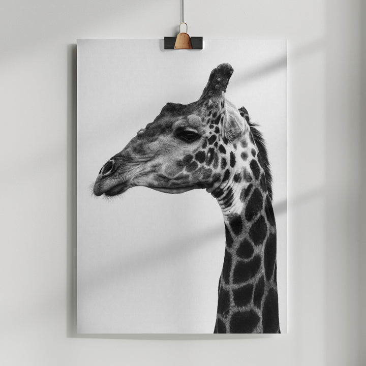 Fine Art Print, Super Safari No1