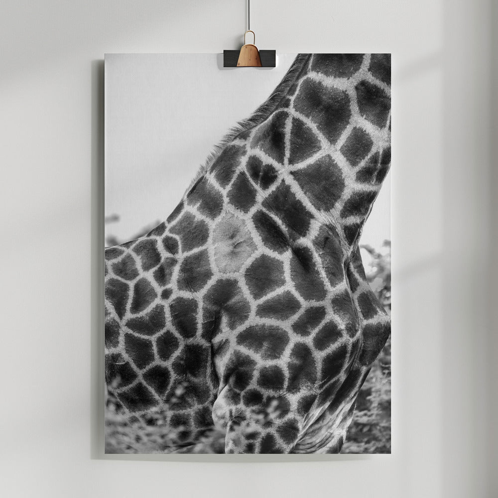 Fine Art Print, Super Safari No3