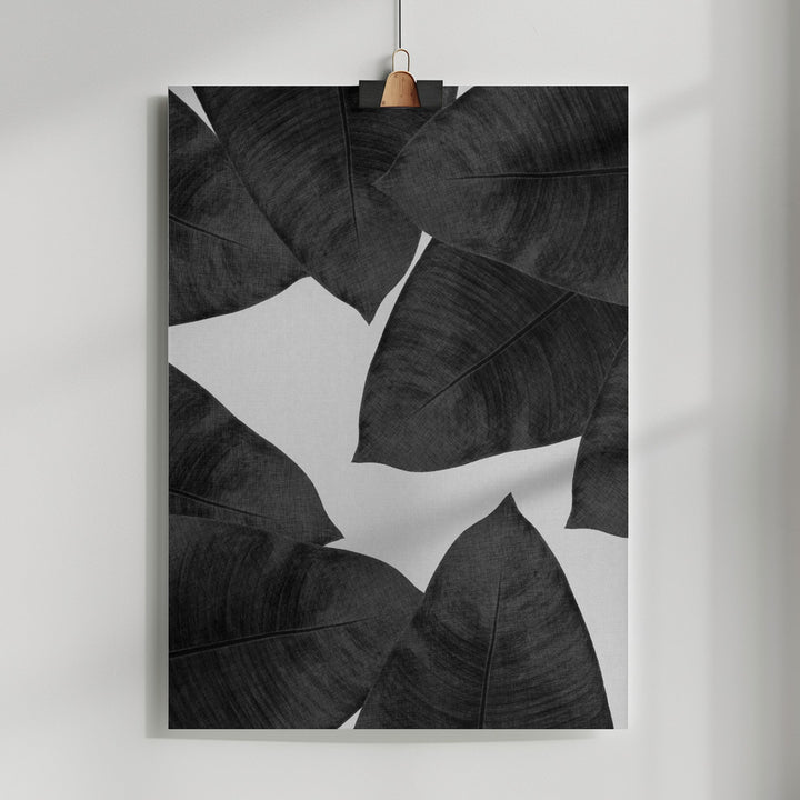 Fine Art Print, Banana Leaf Black &amp; White II