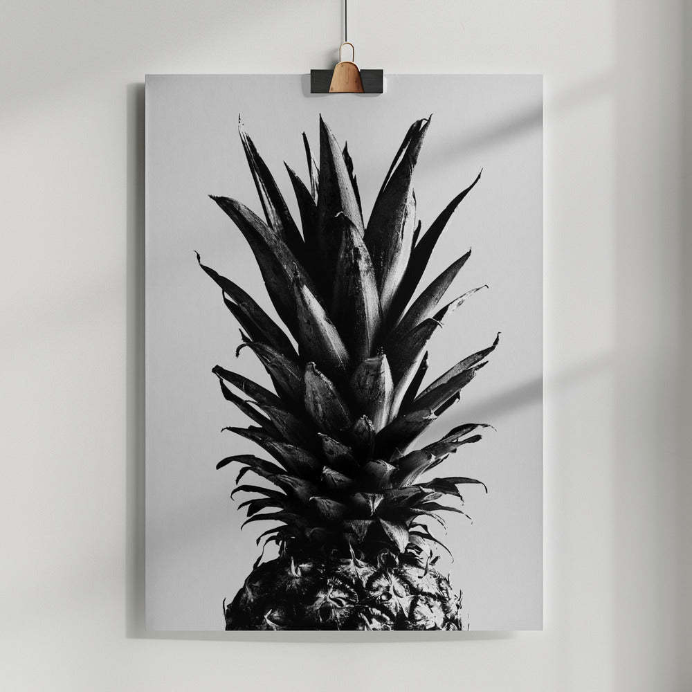 Fine Art Print, Pine Gray