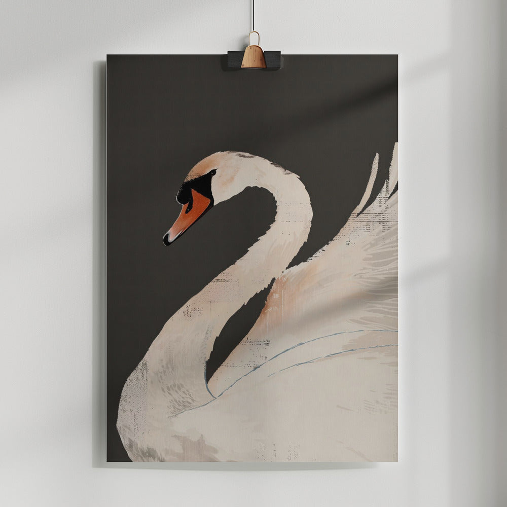 Fine Art Print, The Swan