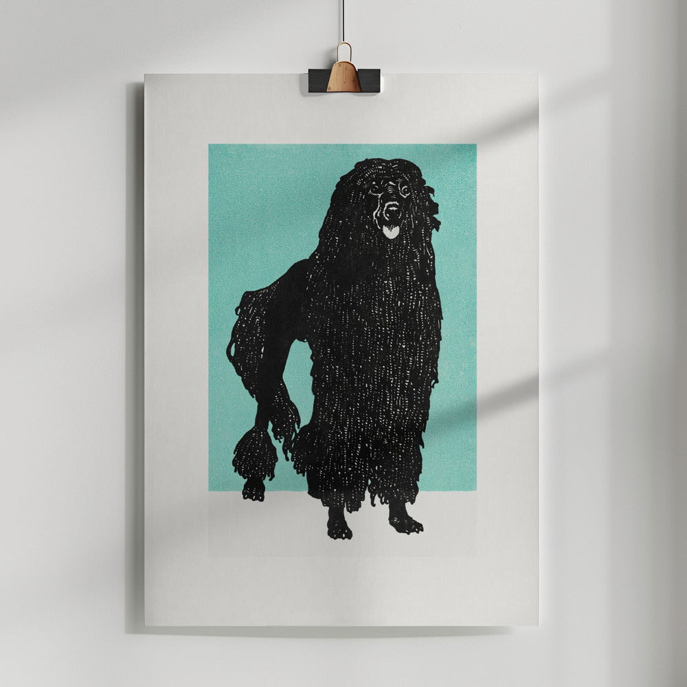 Fine Art Print, Poodle