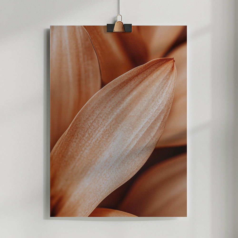 Fine Art Print, Leafdetail