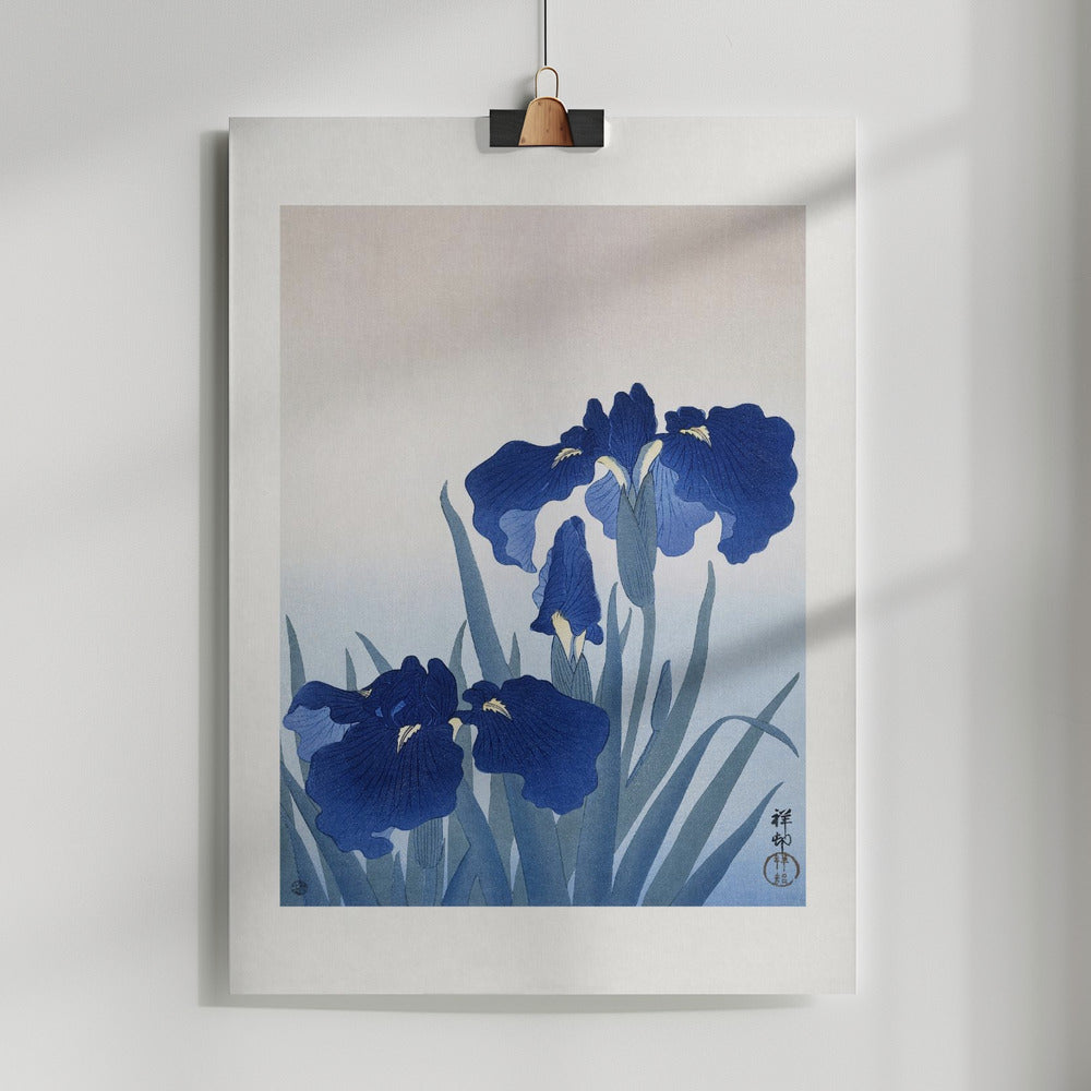 Fine Art Print, Iris Flowers