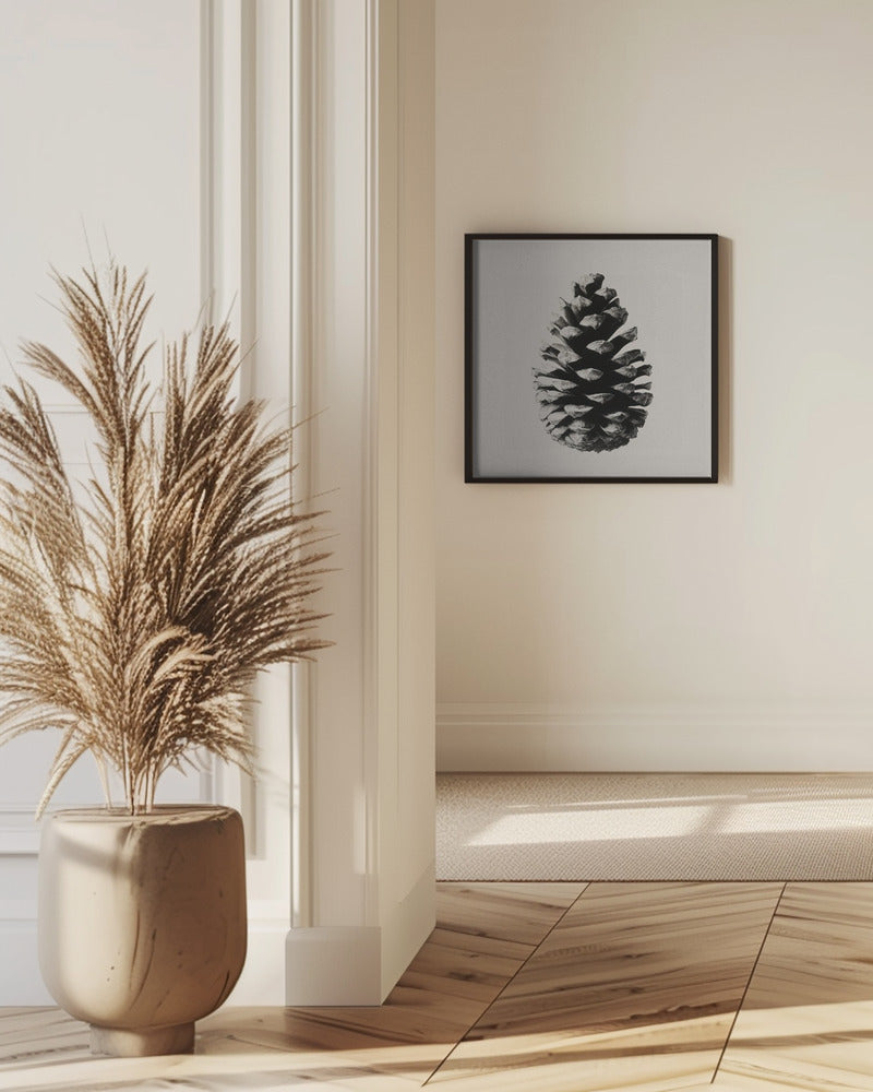 Fine Art Print, Pinecone