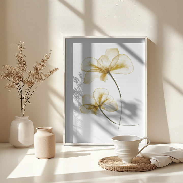 Fine Art Print, Pressed Flowers