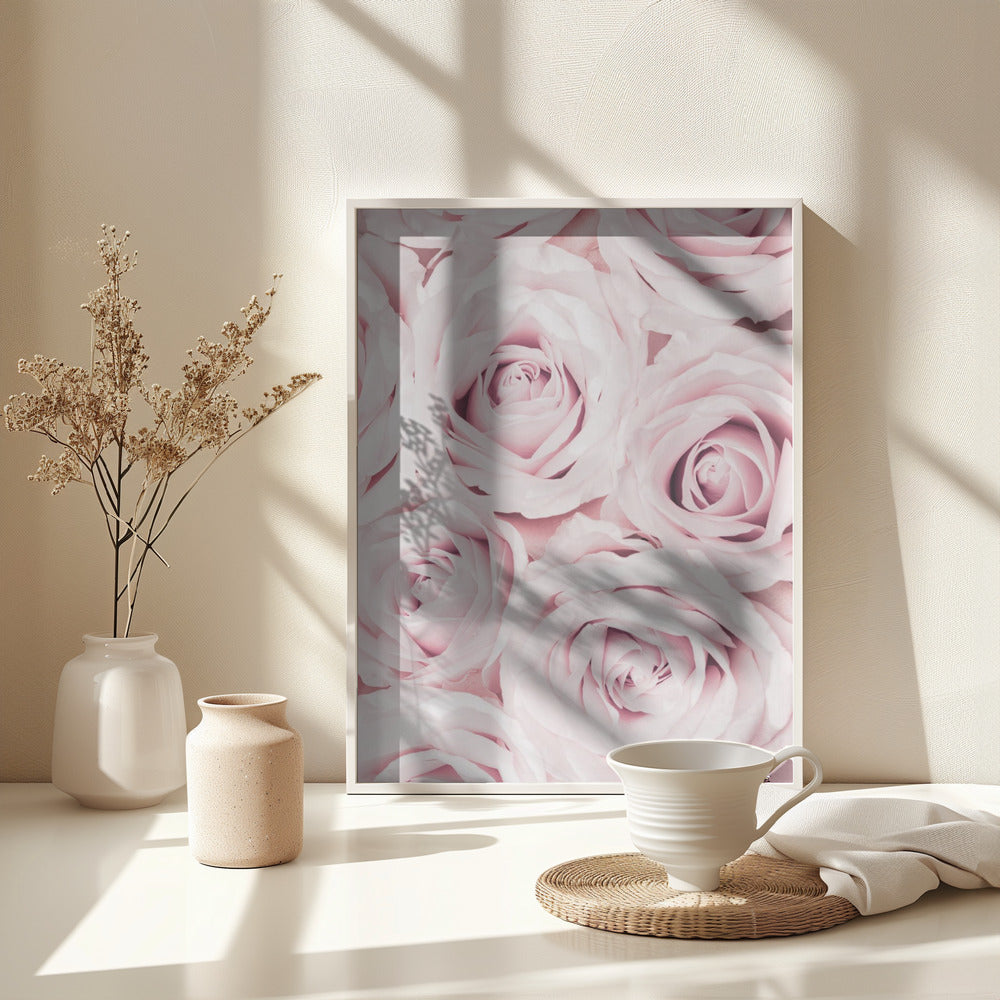 Fine Art Print, Pink Roses No 02