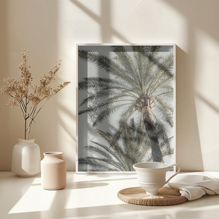 Fine Art Print, Palm_005