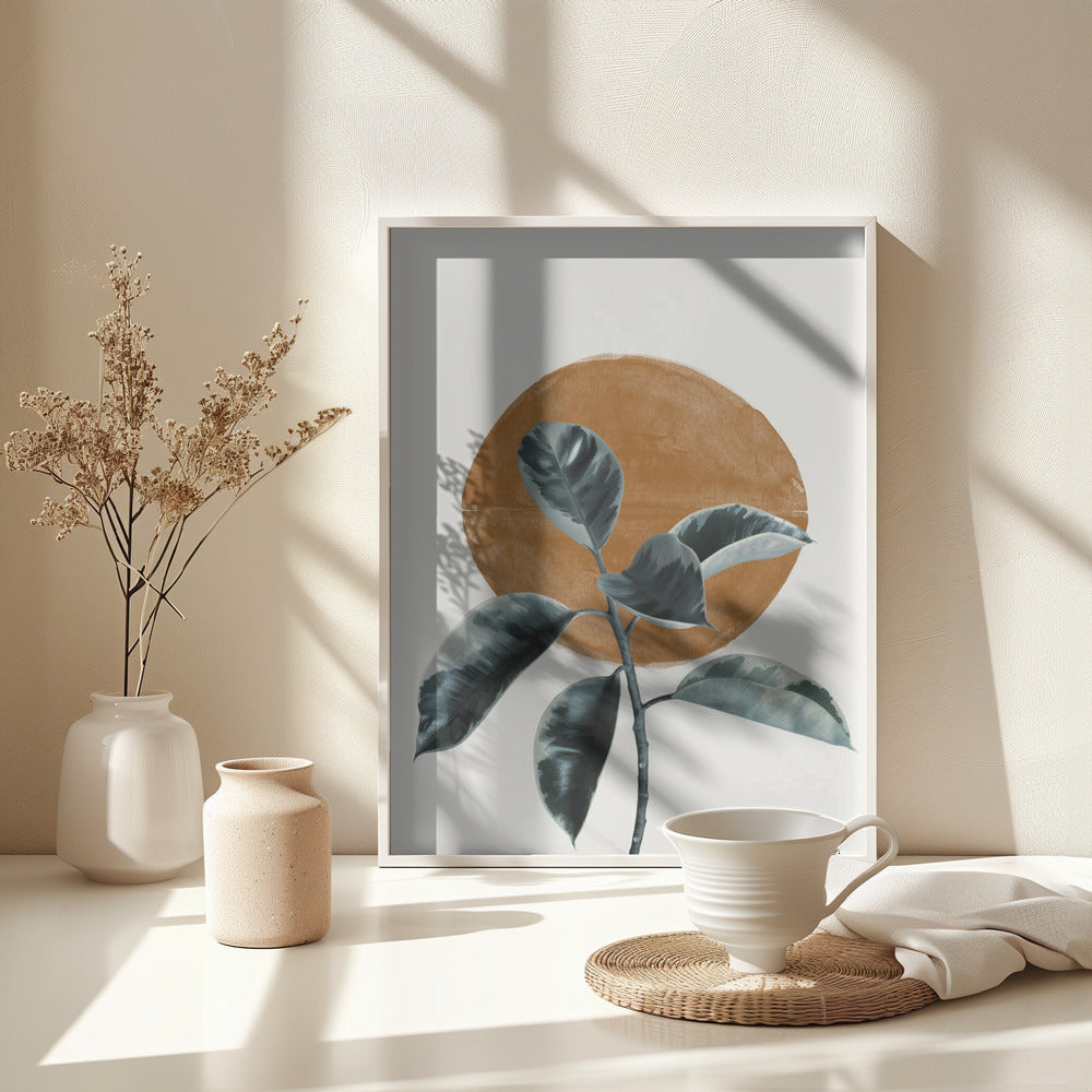 Fine Art Print, Sun and Ficus