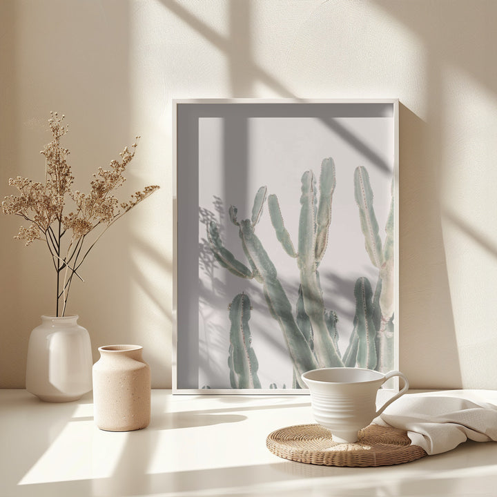 Fine Art Print, Sunrise Cactus