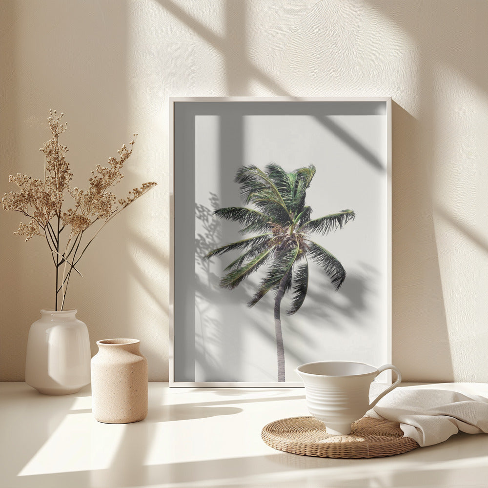 Fine Art Print, Windy Palm Tree