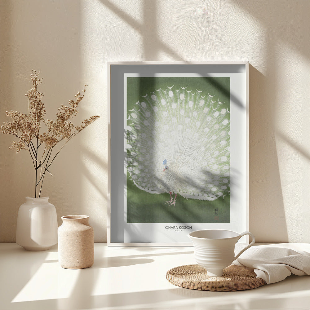 Fine Art Print, Peacock - Cropped