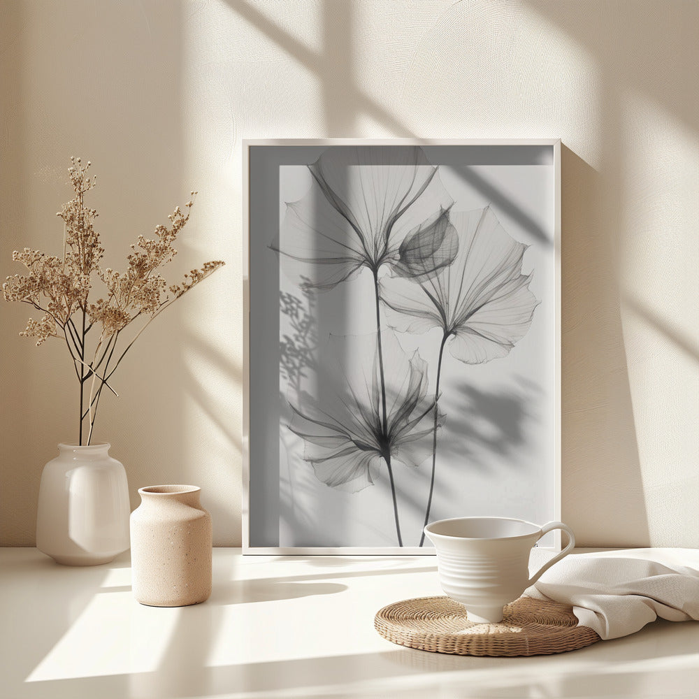 Fine Art Print, Transparent Botanic No 3