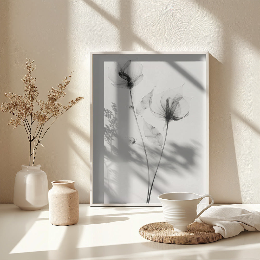 Fine Art Print, Transparent Botanic No 7