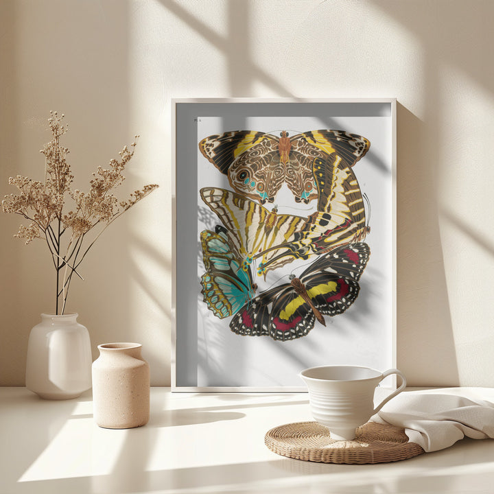 Fine Art Print, Butterflies 10