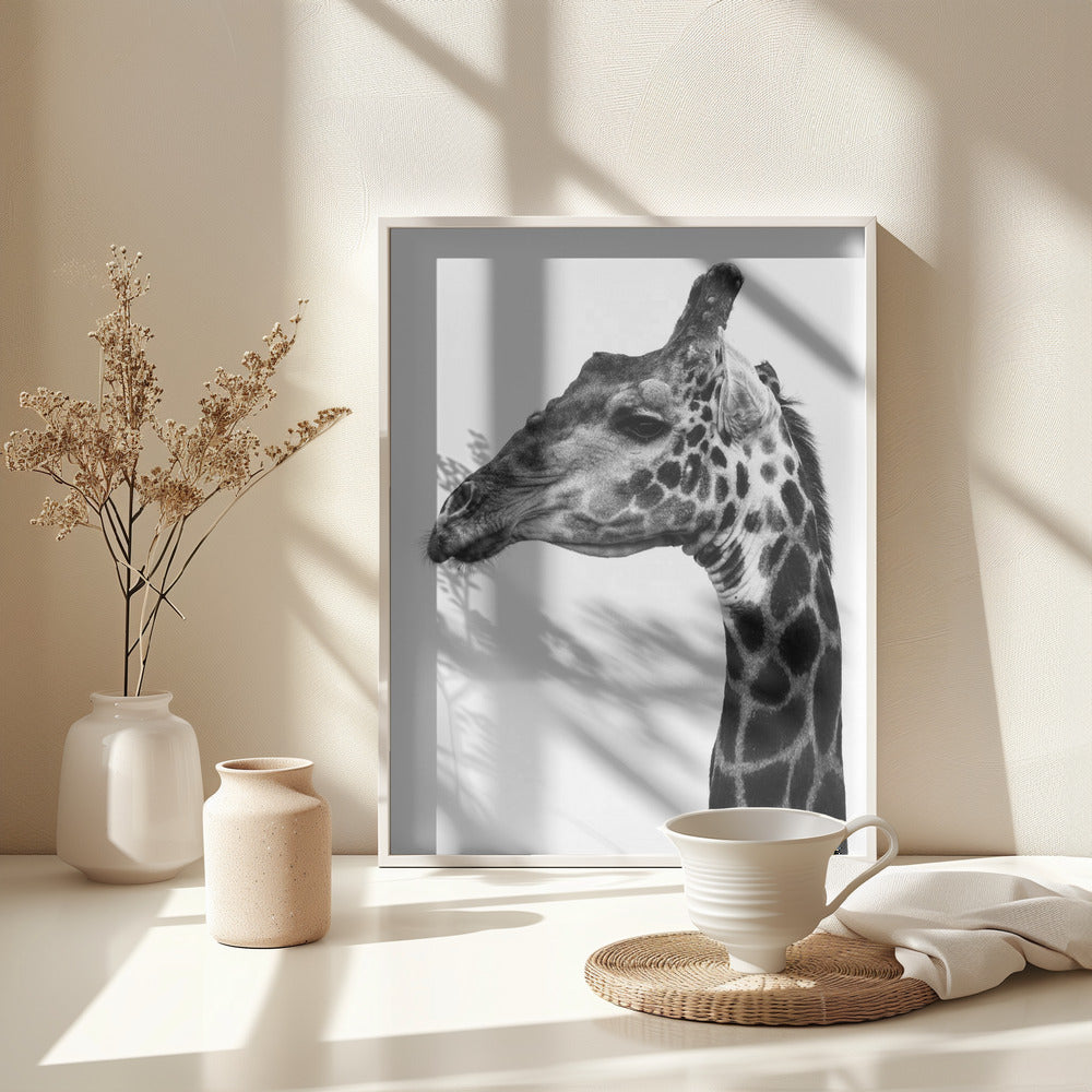 Fine Art Print, Super Safari No1