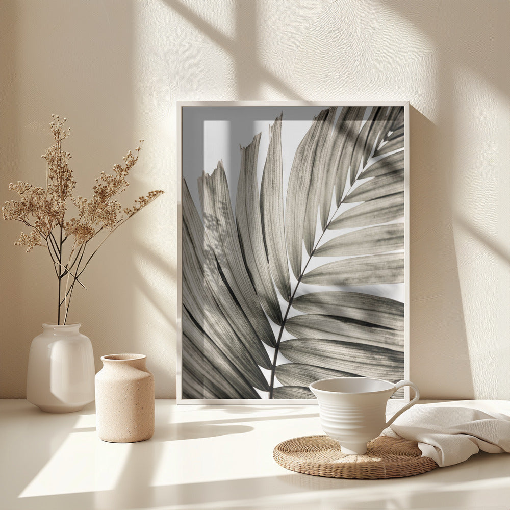 Fine Art Print, Palm Leaves 22