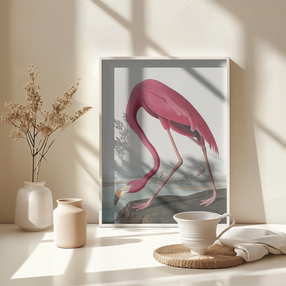 Fine Art Print, Pink Flamingo Ii From Birds of America (1827)