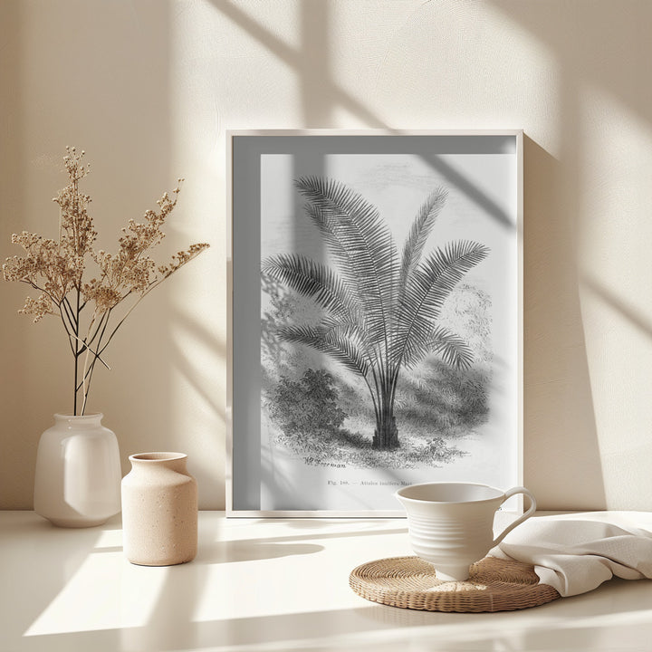 Fine Art Print, Vintage Palm Tree Drawing Vii