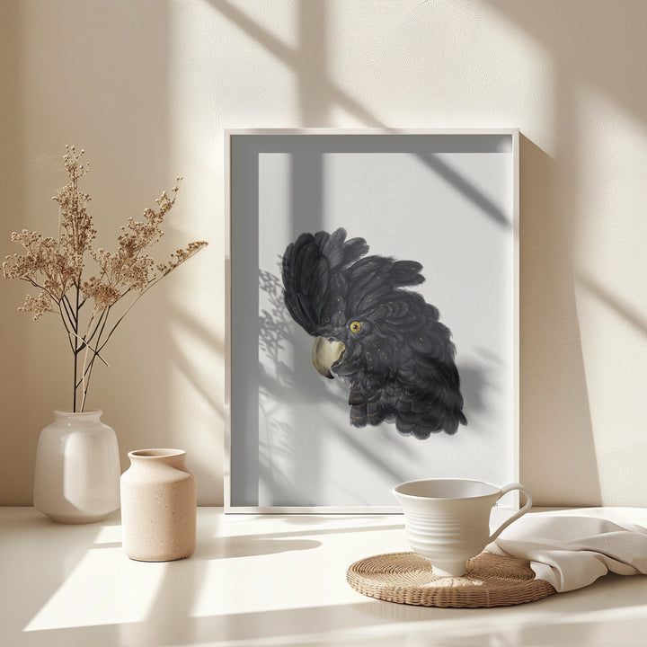 Fine Art Print, Head of a Cockatoo