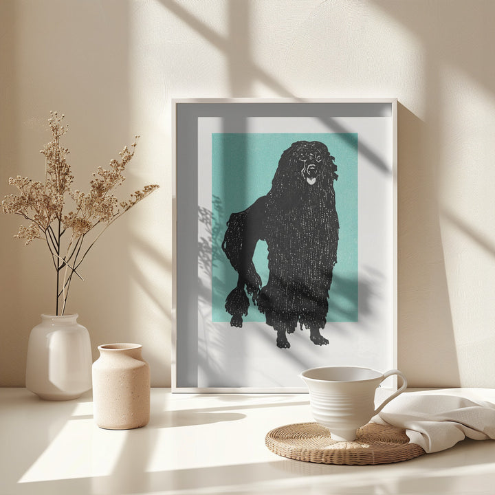 Fine Art Print, Poodle