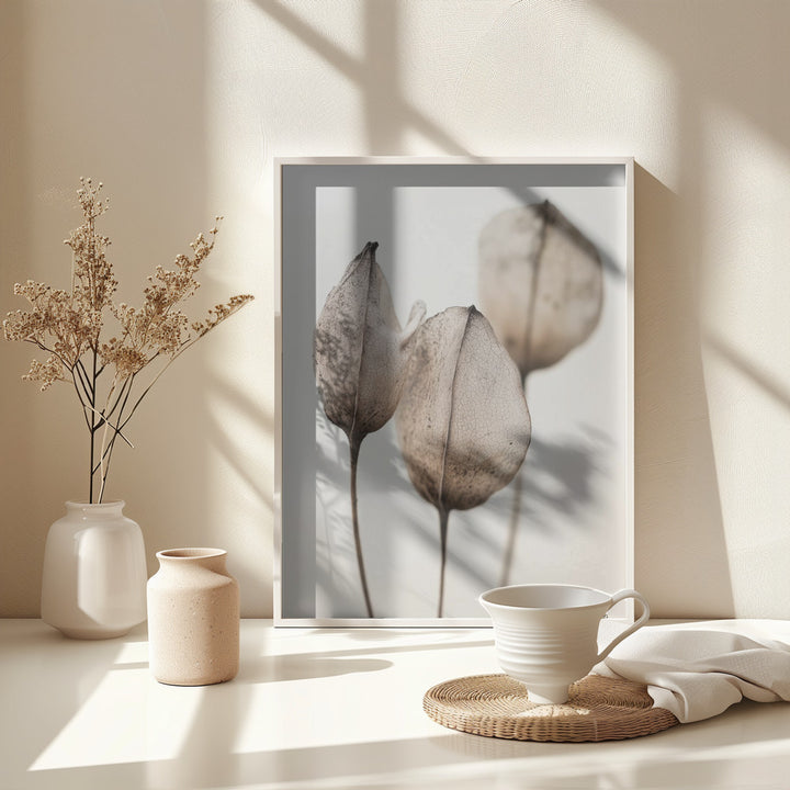 Fine Art Print, Dryflowerdetailno17