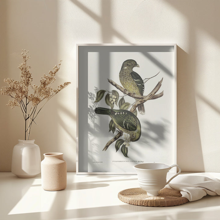 Fine Art Print, Cat Bird