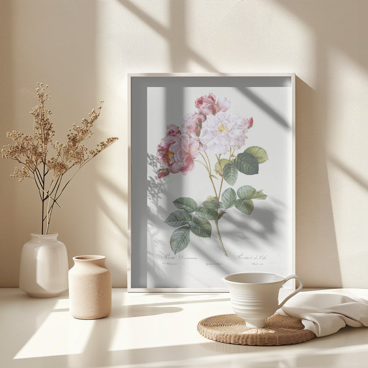 Fine Art Print, Rosebush, Les Roses (1817–1824)