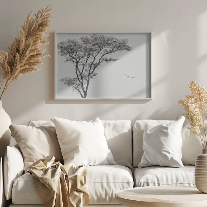 Fine Art Print, the African eagle