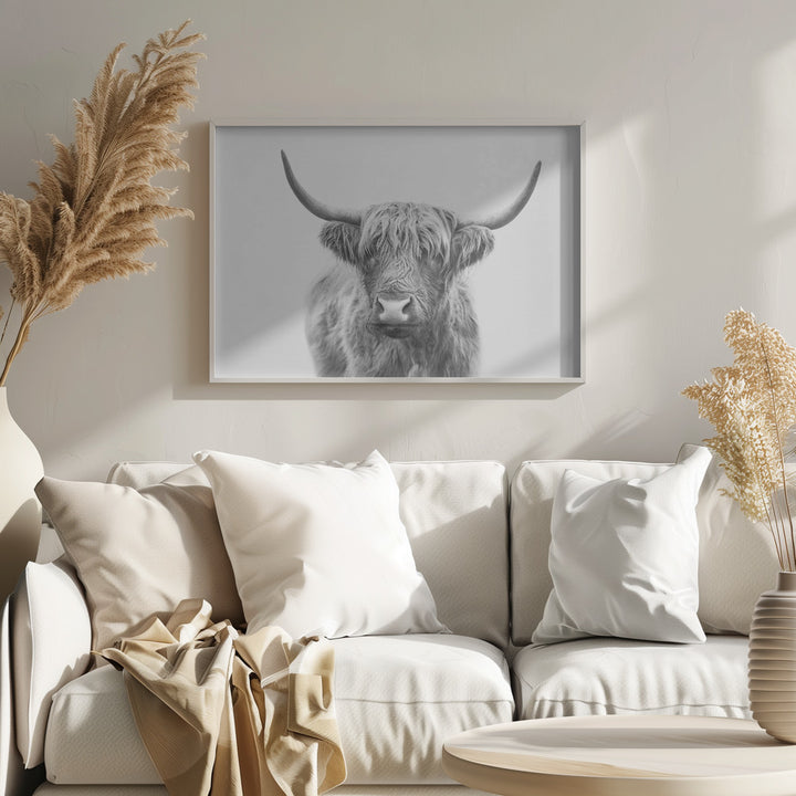 Fine Art Print, Highland Bull